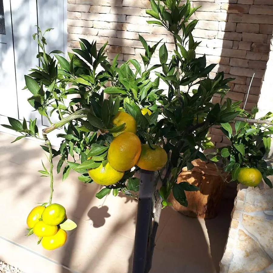 Amanda C Apartment Starigrad Paklenica